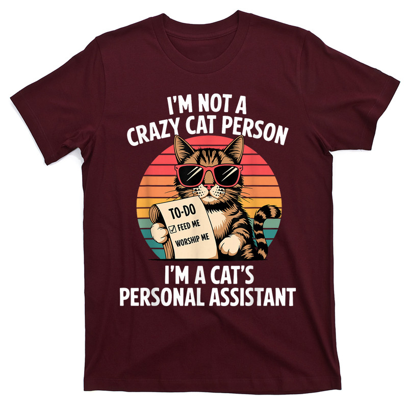 Funny Cat Lover Cat Lady T-Shirt